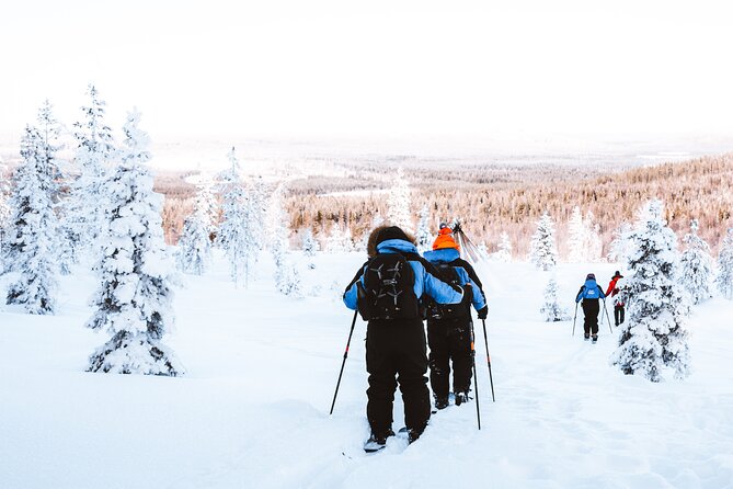 Ski Trekking Safari in Lapland - The Guide Factor: Friendly, Skilled, and Sometimes a Wild Weather Curveball