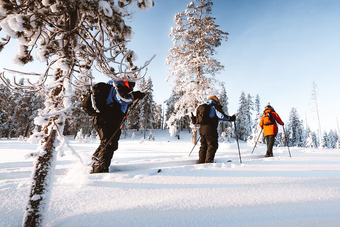 Ski Trekking Safari in Lapland - Logistics That Make the Day Easier Than You Think