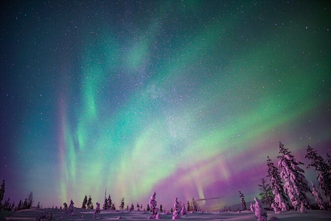 Ski Trekking under the Northern Lights - The Northern Lights Plan: Viewing Points and Realistic Odds