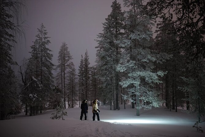 Ski Trekking under the Northern Lights - Who This Tour Fits Best (and Who Should Reconsider)