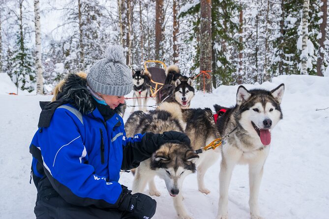 Small-Group Husky Mushing Experience in Rovaniemi - Rovaniemi husky mushing that feels like real Lapland winter