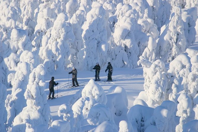 Small-Group Lapland Cross Country Ski - Meeting point and timing, the part that can trip you up