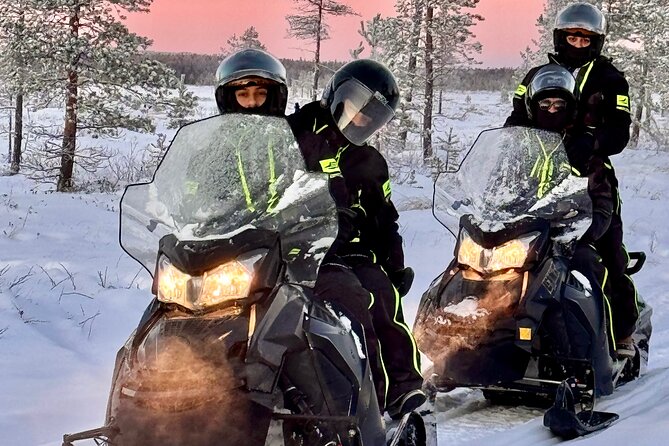Small Group: Snowmobile Safari from Riverside Lodge 3h - Riding the Lapland Route: Forest, River, and Lake Runs