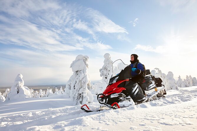 Snowmobile Adventure in Lapland - Key Highlights Worth Planning For