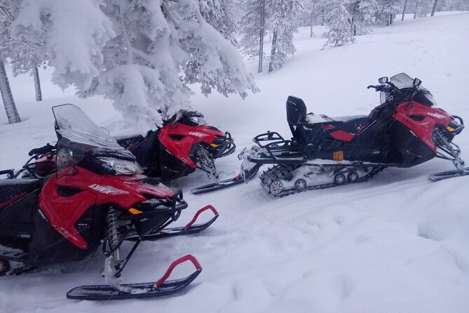 Snowmobile and Ice Fishing Excursion (private tour) - Getting there: hotel pickup in Rovaniemi, plus easy access