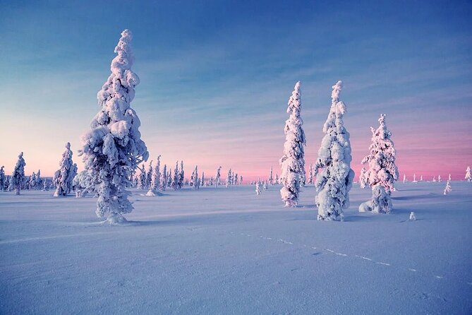 Snowmobile and Ice Fishing Experience - Who should book this snowmobile and ice fishing day