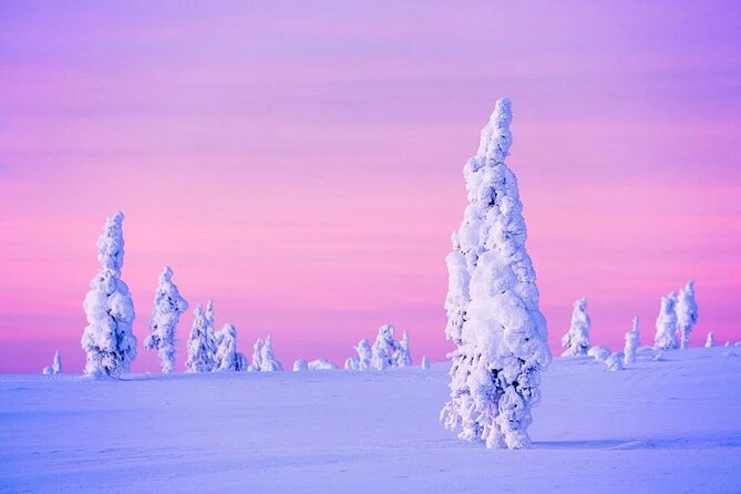 Snowmobile and Ice Fishing Experience - Should you book it, or choose something else?