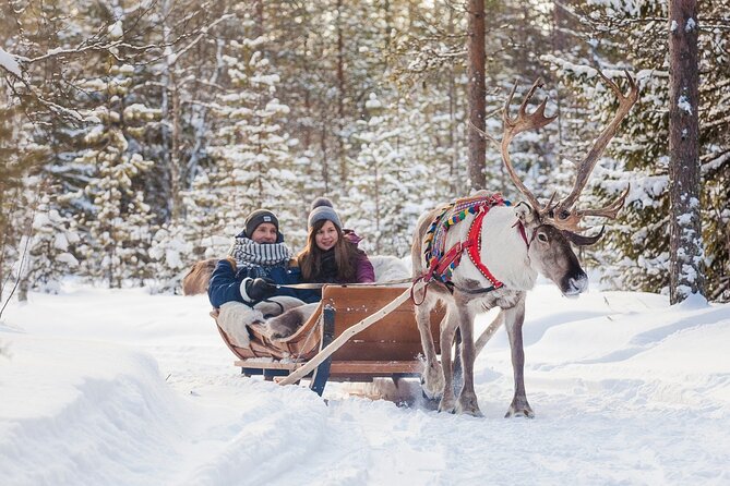 Snowmobile & Animals Day Tour - Group Size, Guides, and Why People Trust This Operation