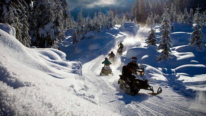 Snowmobile & Animals Day Tour - Snowmobiling on Nordic Terrain: Speed, Limits, and Split Groups