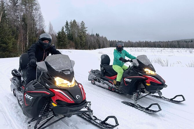 Snowmobile drive experience - Guide Styles You Can Learn From, and Names You’ll Hear