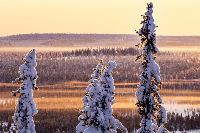 Snowmobile Driving - Morning start - The Training: Turning New Drivers Into Confident Snowmobile Riders