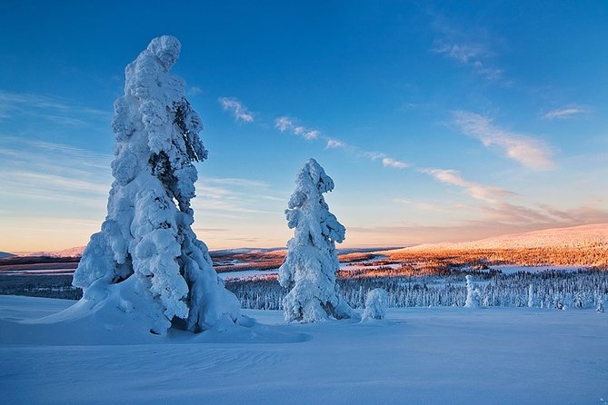 Snowmobile Driving - Morning start - Driver vs Passenger: Flex Options and the Solo Driving Extra
