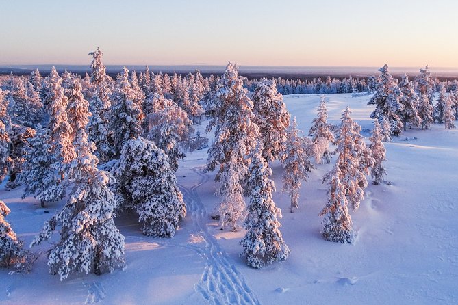 Snowmobile Driving - Morning start - Timing, Pickup, and Group Size: Why It Feels Manageable