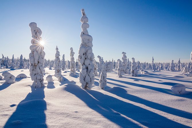 Snowmobile Driving - Morning start - What’s Included, What’s Not, and How to Judge the Value