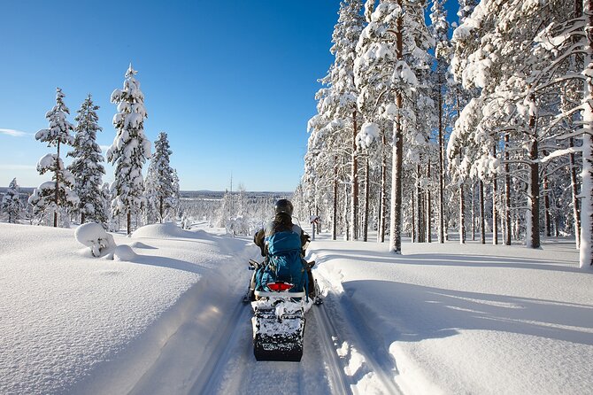 Snowmobile Safari 2h - Small-Group Safari Logistics That Keep You Moving