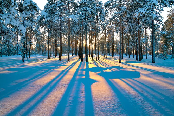 Snowmobile Safari 2h - Who Should Book This Snowmobile Safari in Rovaniemi