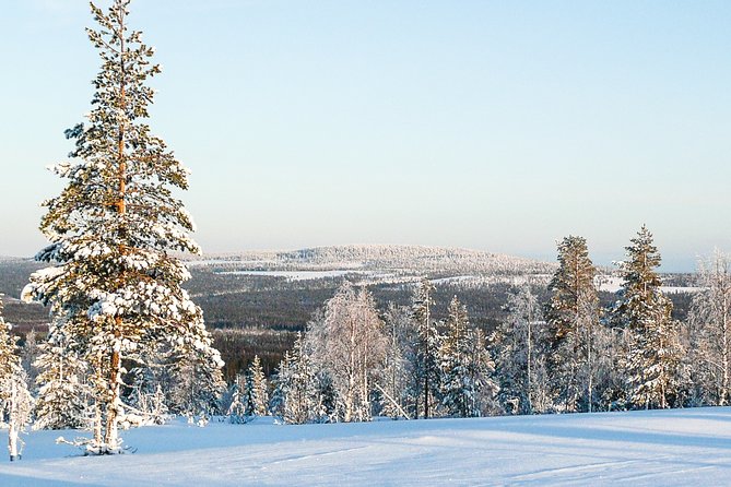 Snowmobile Safari in the Forest - Kätkävaara Backcountry Route: Swamps, Forests, and River Crossings