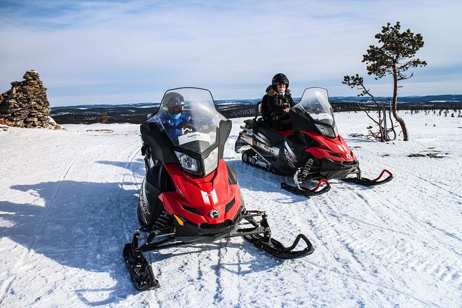 Snowmobile Safari in the Forest - Breaks, Tracks, and the Chances of Seeing Wild Neighbourhoods