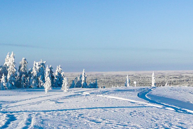Snowmobile Safari in the Forest - Duration and Driving Time: How the 6 to 7 Hours Gets Spent