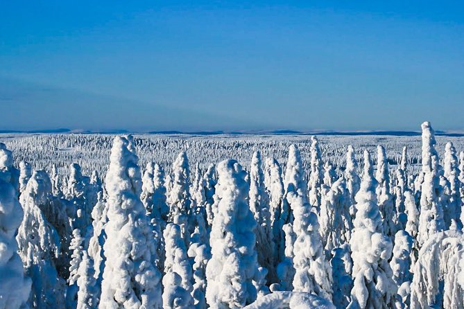 Snowmobile Safari in the Nature - Pickup, meeting time, and how to keep the day stress-free
