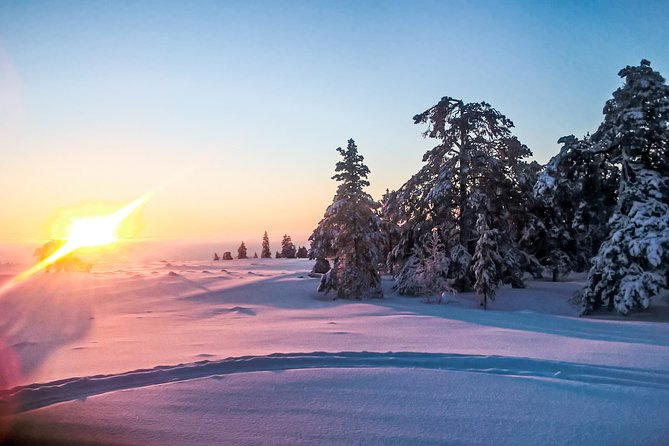 Snowmobile Safari in the Nature - Driving rules and the international license question