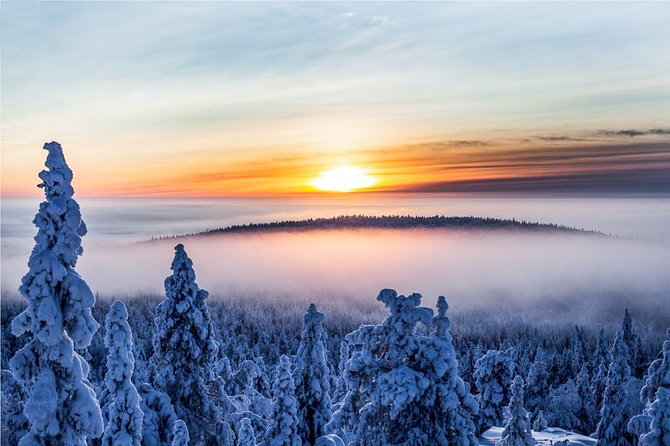 Snowmobile Safari in the Nature - Solo driving, the add-on, and whether it is worth it