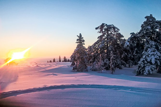 Snowmobile Safari in the Nature - Morning start - Where you meet and how pickup helps