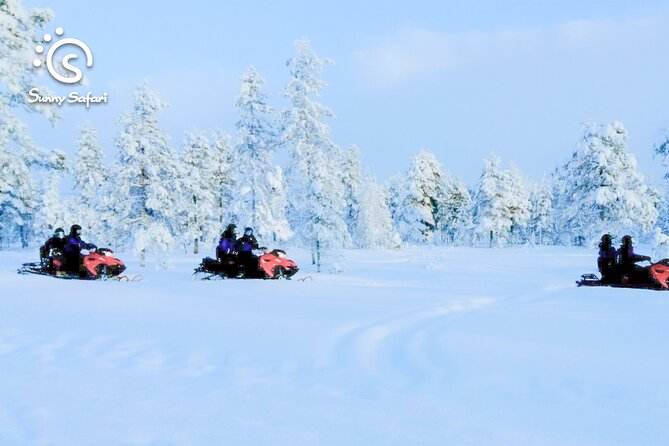 Snowmobile Safari into Arctic Wilderness - Warm Drinks, Cookies, and Photo Stops That Actually Matter