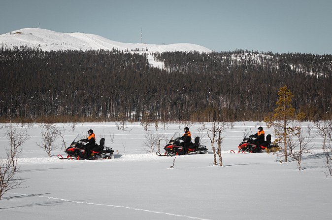 Snowmobile Safari into the Nature in Levi - Price and Value in Levi: What $152.63 Buys You (and Why It Can Be Worth It)