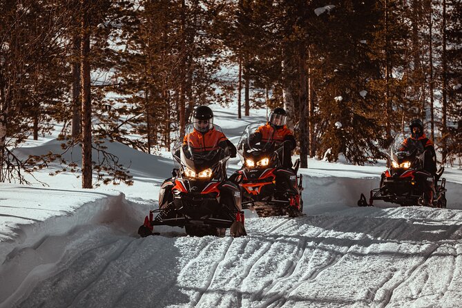 Snowmobile Safari into the Nature in Levi - The Snowmobile Part: Learning the Local Way Without Turning It Into a Test