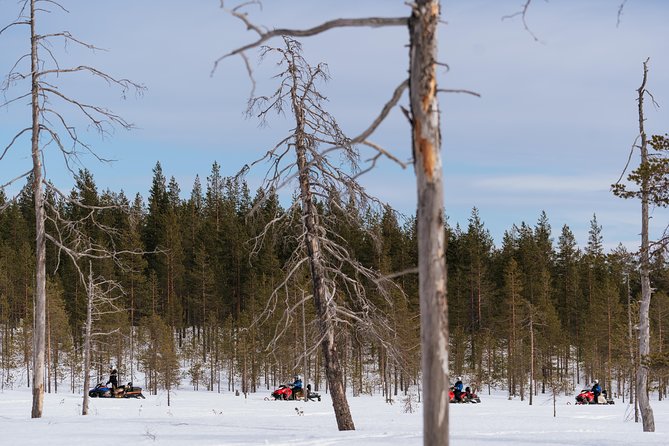 Snowmobile Safari into the Wilderness, Apukka Resort Rovaniemi - Why Apukka’s Rovaniemi snowmobiling feels like the right kind of winter outing