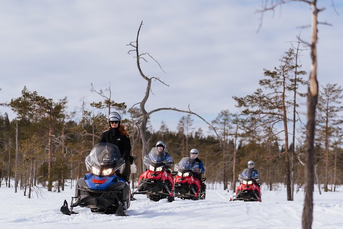 Snowmobile Safari into the Wilderness, Apukka Resort Rovaniemi - Price and logistics: what $146.59 really covers