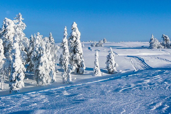 Snowmobile Safari on the Tundra - Saariselkä tundra snowmobiling, the good kind of thrilling