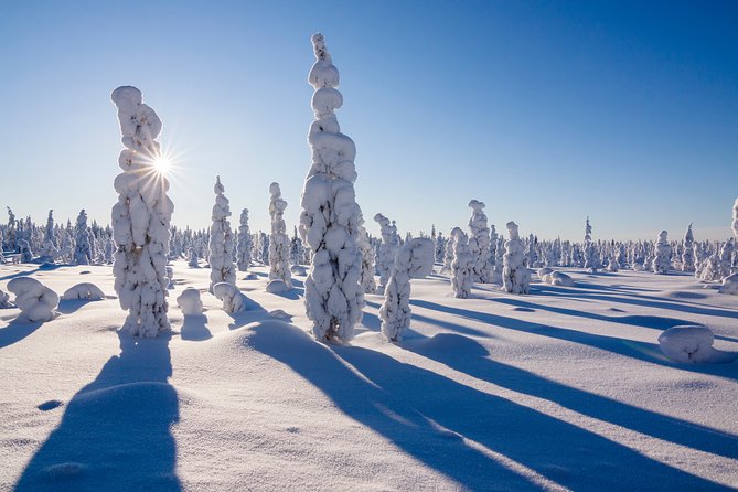 Snowmobile Safari on the Tundra - Barbecue-style warm break: the moment you stop being cold