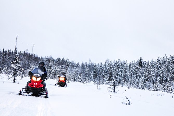 Snowmobile Safari on the Tundra - Price and value: what $179 buys you in real life