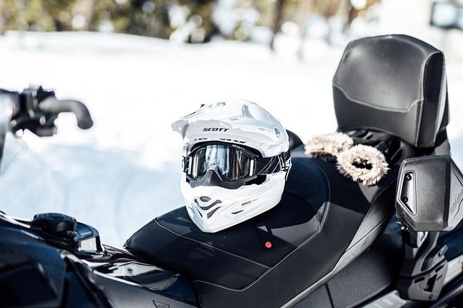 Snowmobile Safari through Lappish Forest from Rovaniemi - Driving Rules, Sharing a Snowmobile, and Kids on the Tour
