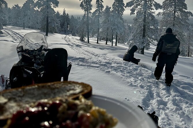 Snowmobile Safari to the Wilderness - Key highlights you’ll feel right away