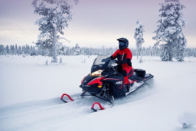 Snowmobile Tour with Small Group in Remote Wilderness 3 Hours - Driving Rules and How the Experience Works for Non-Drivers