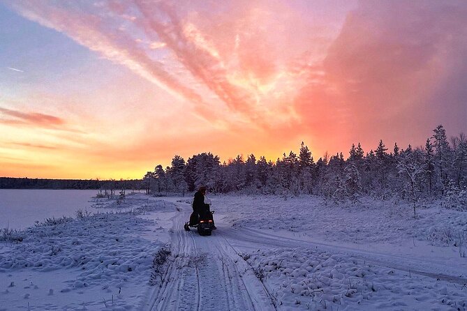 Snowmobile Tour with Small Group in Remote Wilderness 3 Hours - Price and Value: What $222.27 Buys in Real Winter Comfort