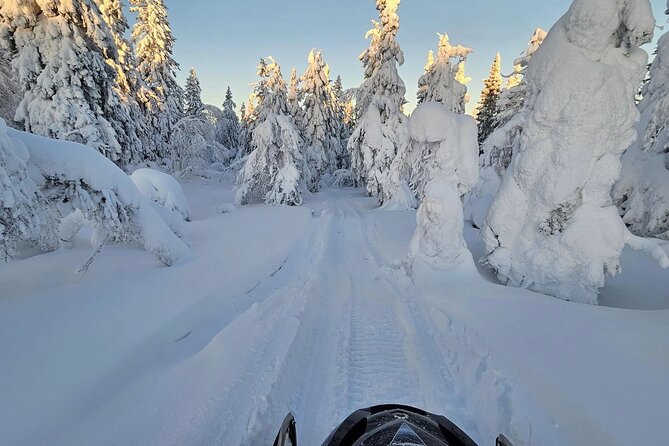 Snowmobile Tour with Small Group in Remote Wilderness 3 Hours - Should You Book This 3-Hour Snowmobile Tour?