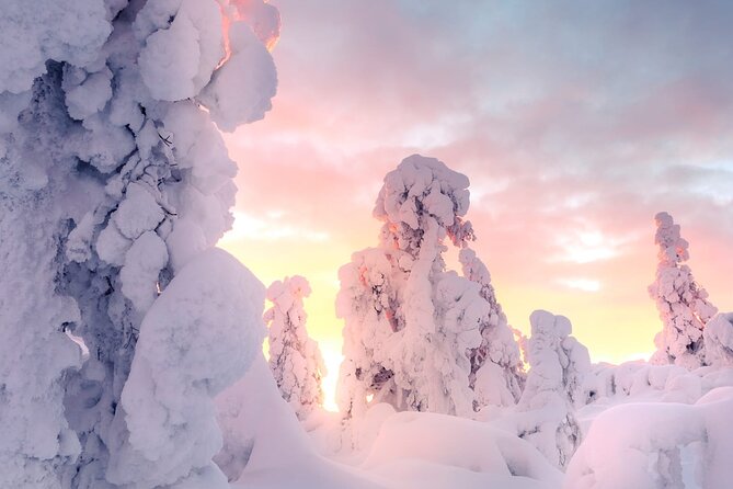 Snowmobile Tours in Rovaniemi Lapland - Key Highlights Worth Your Attention