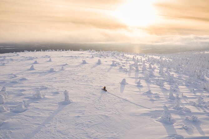 Snowmobiling Adventure in Levi - Gear and driver rules: what you need before you start