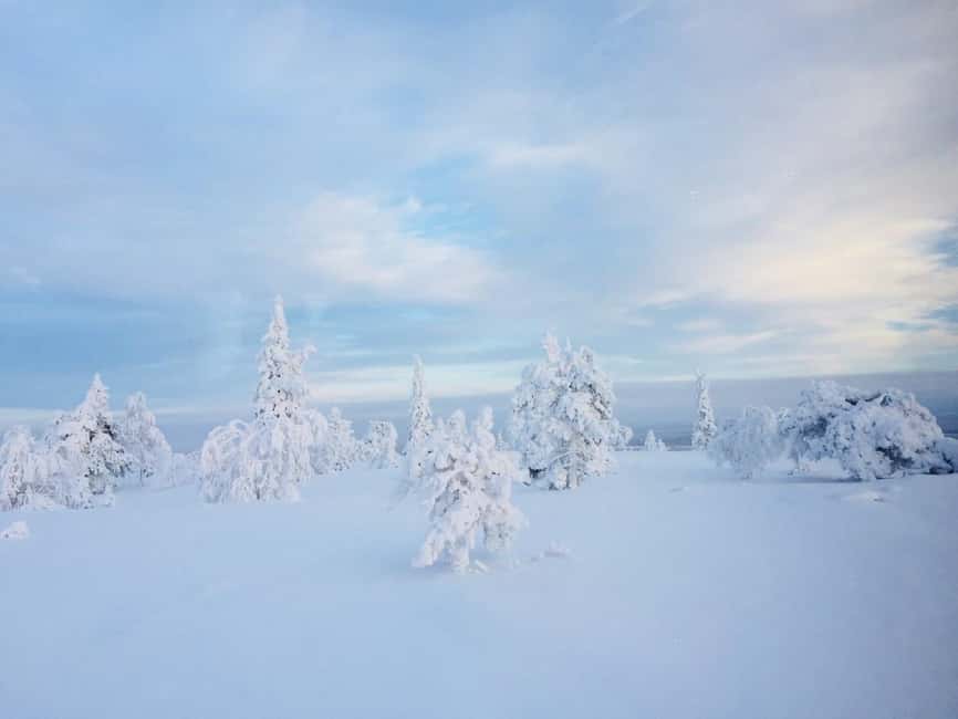 Snowshoe experience with traditional beverages in Lapland - Key highlights worth caring about