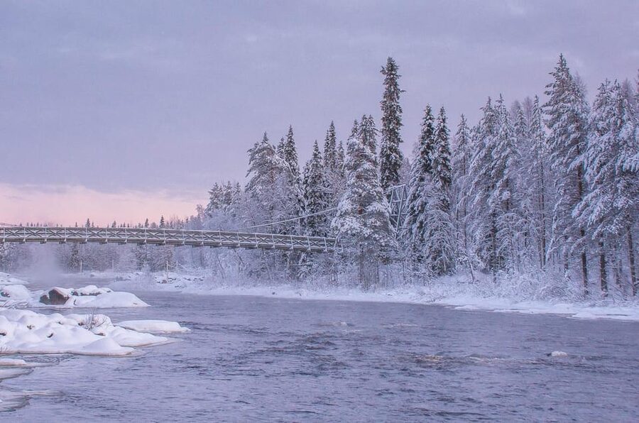 Snowshoe experience with traditional beverages in Lapland - Price and value: what $91 buys in 3 hours
