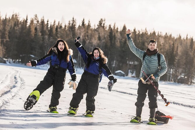 Snowshoe Trip in the Wilderness - Animal Tracking Basics: Reading Signs Without Disturbing Wildlife