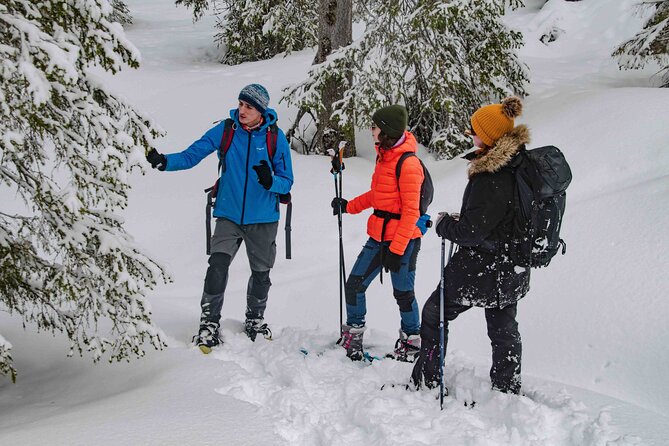 Snowshoeing Adventure with Ice-Fishing, Fire and Survival - Your Guide, Your Pace: Small Group Energy with Timo