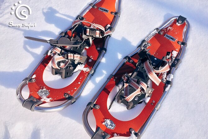 Snowshoeing in Lapland Wilderness - Price and Value: Why “What You Pay” Isn’t the Whole Story