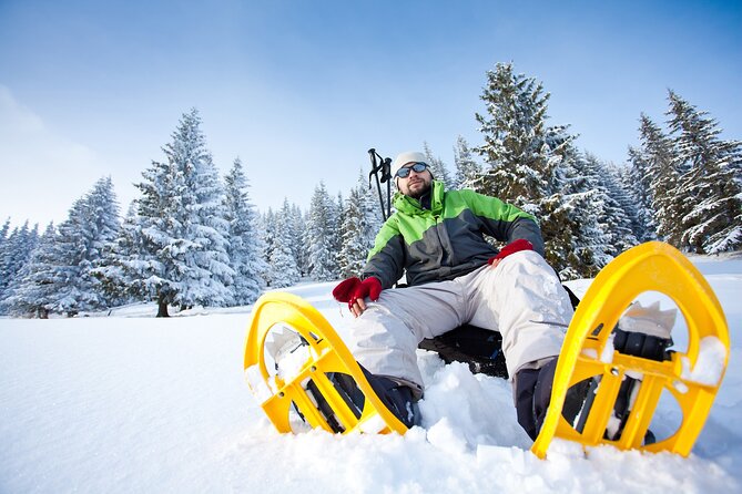 Snowshoeing in Levi - Key Highlights Worth Knowing