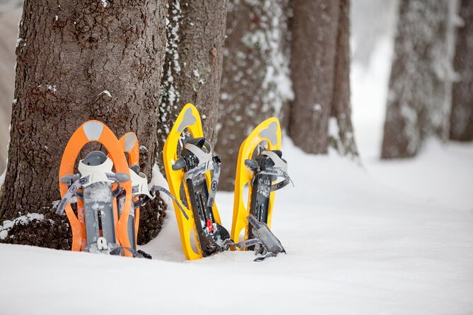 Snowshoeing in Levi - Booking Timing: Book Around a Month Out
