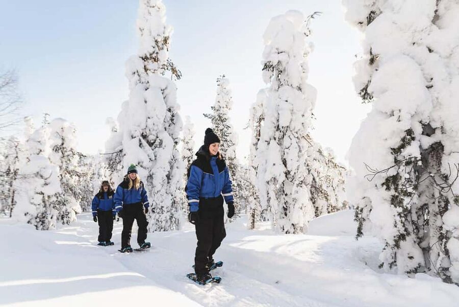 Snowshoeing in the Arctic Wilderness - Key points that make this snowshoe safari work